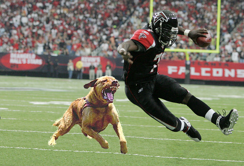 Super Vick